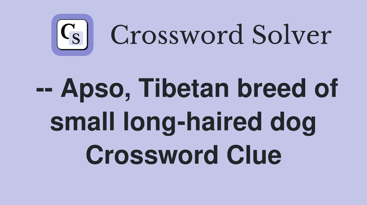 -- apso, tibetan breed of small long-haired dog